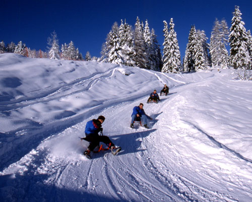 Sáňkování ve Ski Amadé